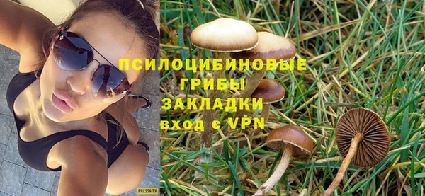 СК Магас