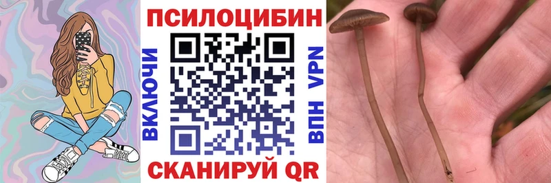 Псилоцибиновые грибы мицелий  Купить где  Онега 