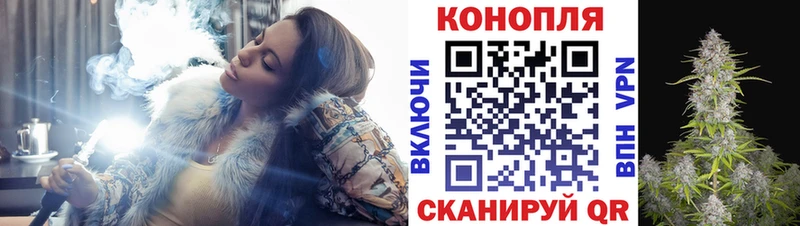 Купить где  Онега  Каннабис THC 21% 